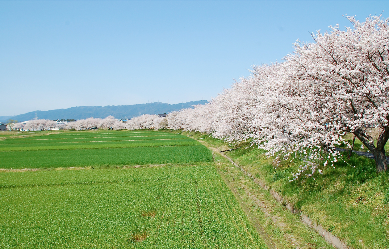 ちょうど良い四季と恵まれた自然環境